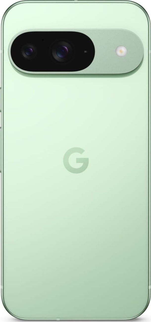 Google Pixel 9 12/256 Гб (Периодически перезагружается), Зимний зеленый